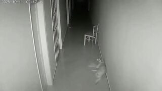 Ghost caught on camera