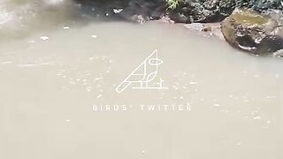 for tilapia in the river, caught a monster