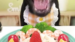 Ultimate Dog ASMR  Crunchy Snack Sounds You Didnt Know You Needed!