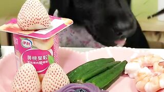 ASMR Dog Chewing Snacks  Pure Crunchy Bliss!