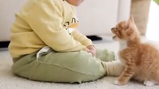 Childs moments cat surprised by his own fart