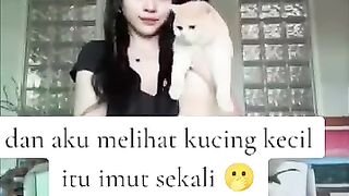 Kucing Kecil yang imut