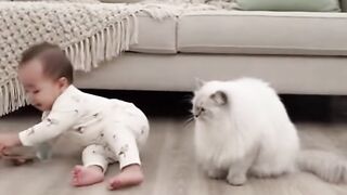 Babys moments Accusing the cat