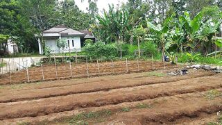 Kampung halaman ku