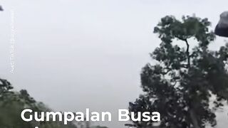Warga Patokbeusi, Subang, dikejutkan kemunculan gumpalan