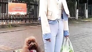 Cute dog