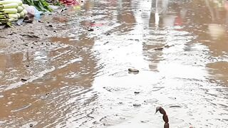 Inside Asias Mud Market