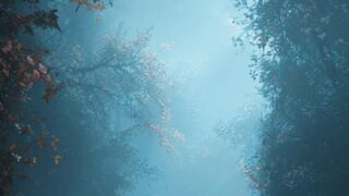 Happy birthday to you video