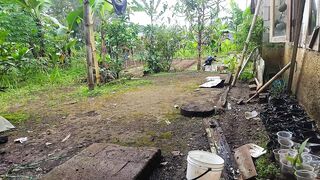 Suasana pagi di belakang rumah