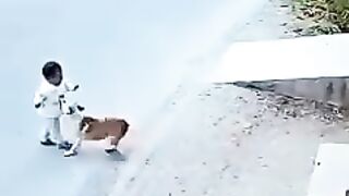 Rescue dog