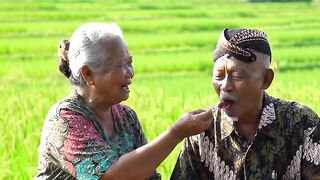 Grandma and Grandpa Feed Each Other in the Middle of the Rice Fields