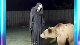 Prank ghost bear Gets the Shock of His Life!