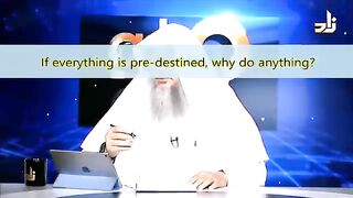 If everything is Pre-destined why do anything - Sheikh Assim Al Hakeem