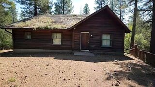 Abandoned cabin Backyard Renovation.