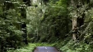 Trip to mountains