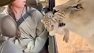 She just shoved her kid in the car and walked off. JungleDaycare SafariProblem