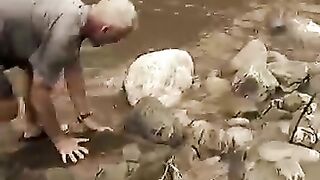 THAT Neck Is HUGE  turtle