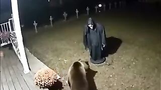 What do you think this was