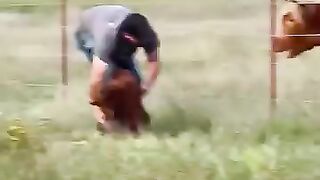 When a Mothers Love Meets Human Kindness lanimals foryou love mom pe