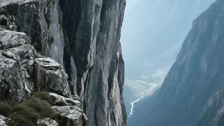 Mountain Goat