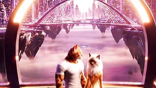 A Cat Love Story Beyond Time