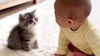 Baby and cat confused