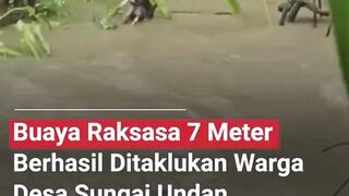 PENEMUAN BUAYA RAKSASA DI DESA SUNGAI  UNDAN