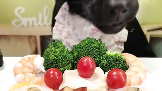 ASMR Dog Eats Shrimp  Mango  Gourmet Puppy Mukbang!