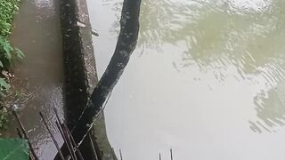 Hujan