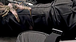 Boris the animal - film