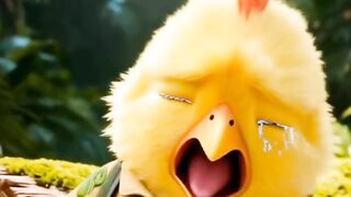 Anak ayam dan monkey