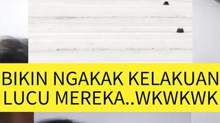 Everyones funny behavior