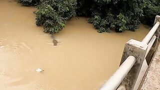 Epic Adventure Trying to Catch a Crocodile?!