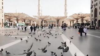 Naat Shareef