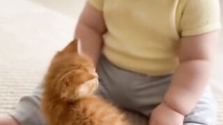 The kitten was shocked