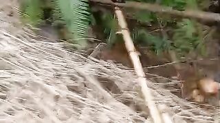 amazing videos mp4