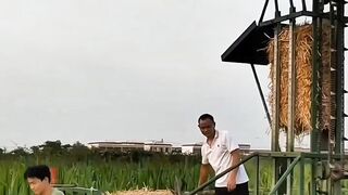 dry straw lifting equipment