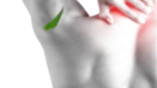 Decoding Hemp X CBD Ingredients Whats Inside Every Capsule?