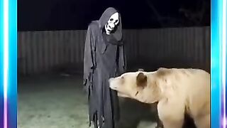 It turns out that even wild animals can be shocked and scared, broo.