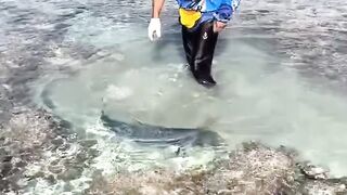 Big Fishing