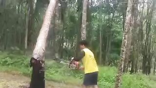 Detik detik di tendang pohon kelapa