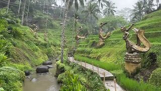 Bali island
