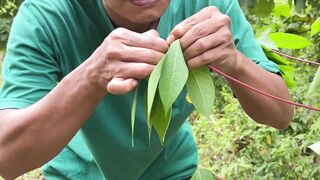 Survival skills SMART idea and USEFUL in forest