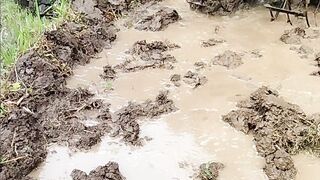 Life good , work hard