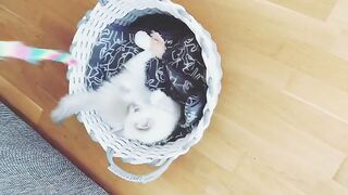 WhatsApp33759417428 Buy weed in France, Buy weed in Paris, Buy weed in Lyon, Buy weed in Toulouse, Buy weed in Rouen,