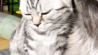 WhatsApp 33759417428 Buy coke, Cocaine in France, Buy weed in Paris, Buy weed in Lyon