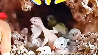 Little Birds