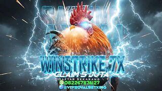 SABUNG AYAM ONLINE BONUS WINSTRIKE 5 JUTA  100