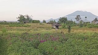 NATURAL VIEWS OF BALI