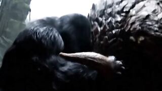 Wrath of the Ancient Forest (Amarah Hutan Purba